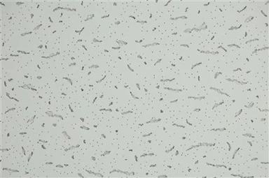 Techo suspendido a prueba de humedad de 600 * 600 mm